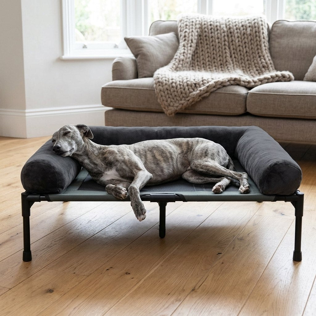 Comfortable Elevated Dog Bed Large Breed – Lurcher asleep on the raised bed in a living room
