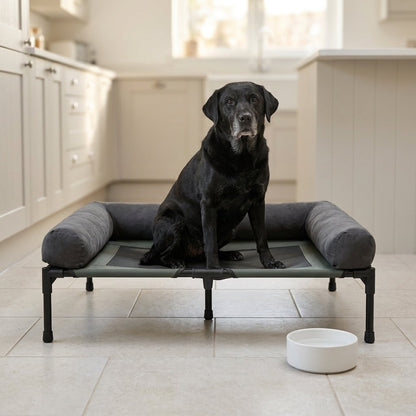 Comfortable Elevated Dog Bed Large Breed – black Labrador sitting on the raised bed in a kitchen