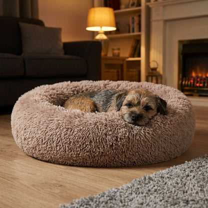 Comforting Stress Relief Pet Bed – Border Terrier curled up in the light brown donut bed in a living room