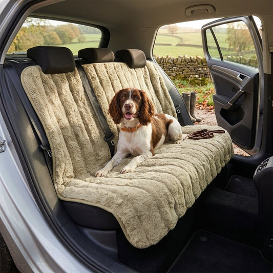 Cozy Pet Car Seat Cover Blanket Protector – Springer Spaniel on the khaki Full Seat cover across the rear bench after a countryside walk