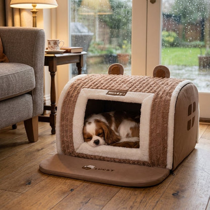 Cozy Pet House for Small to Medium Dogs – Cavalier King Charles Spaniel napping inside the pet house in a living room
