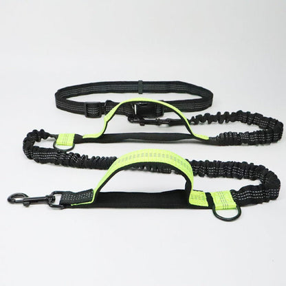 Versatile No-Tangle Dog Leash with Car Safety Harness
