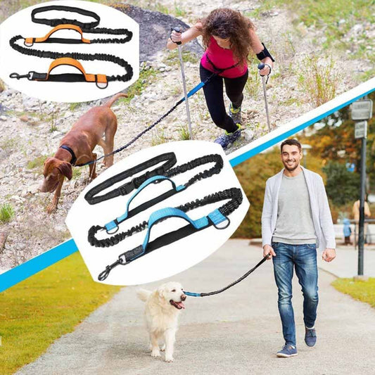 Versatile No-Tangle Dog Leash with Car Safety Harness - Peties