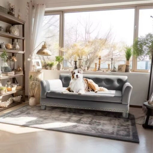 Premium Faux Leather Pet Couch - Peties