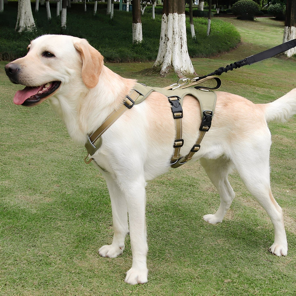 Comfortable Pet Walking Harness - Peties