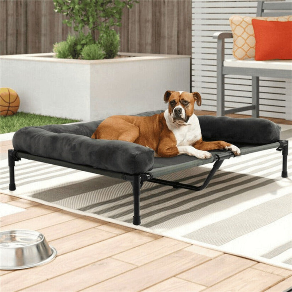 Comfortable Elevated Dog Bed Large Breed – Boxer resting on the raised bed on a patio