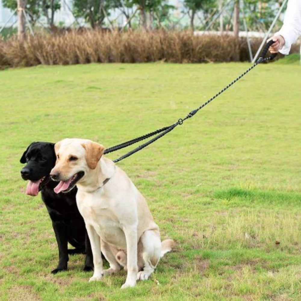 Easy Walk Double Dog Leash - Peties