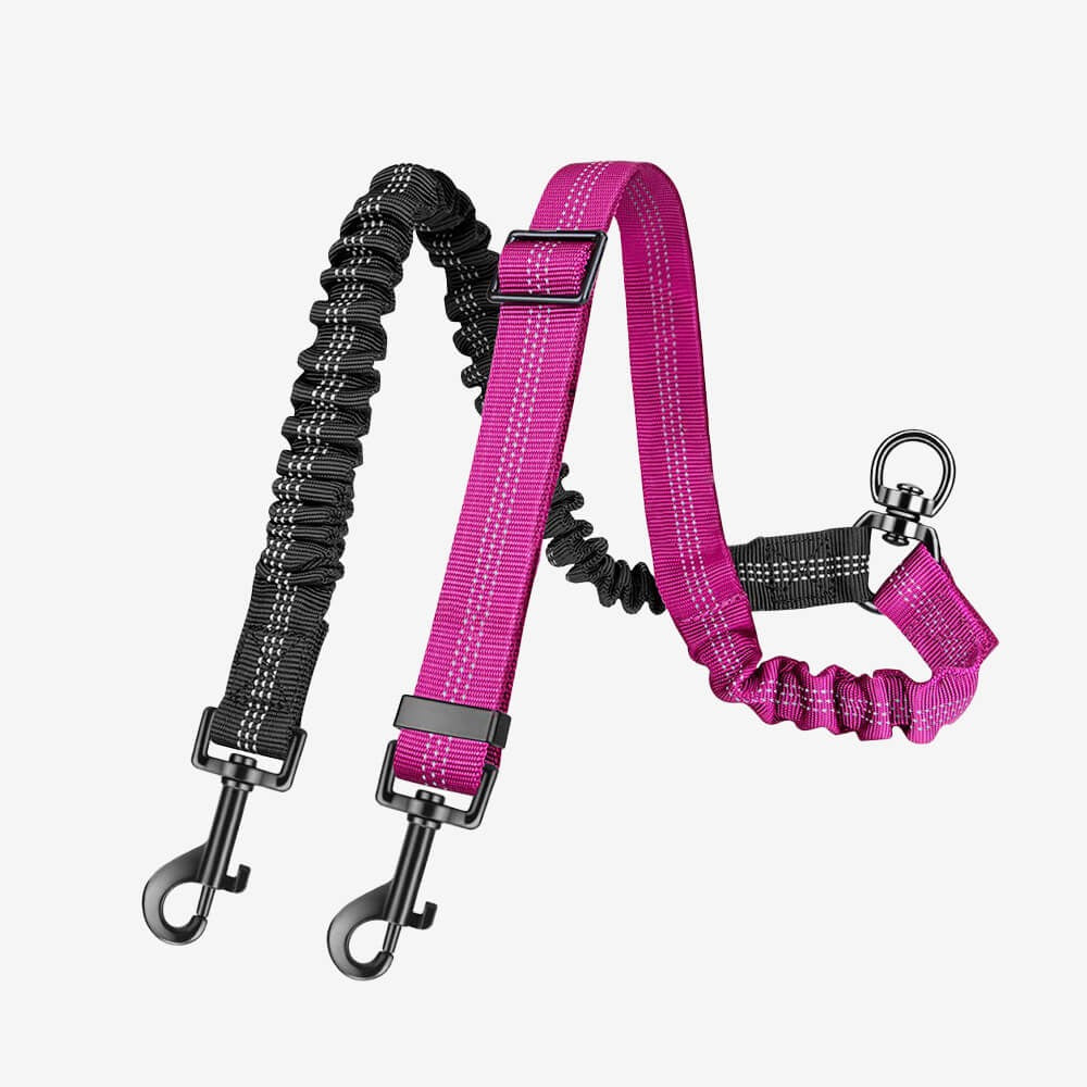 Comfortable Double Dog Leash with Bungee and Tangle Free Design