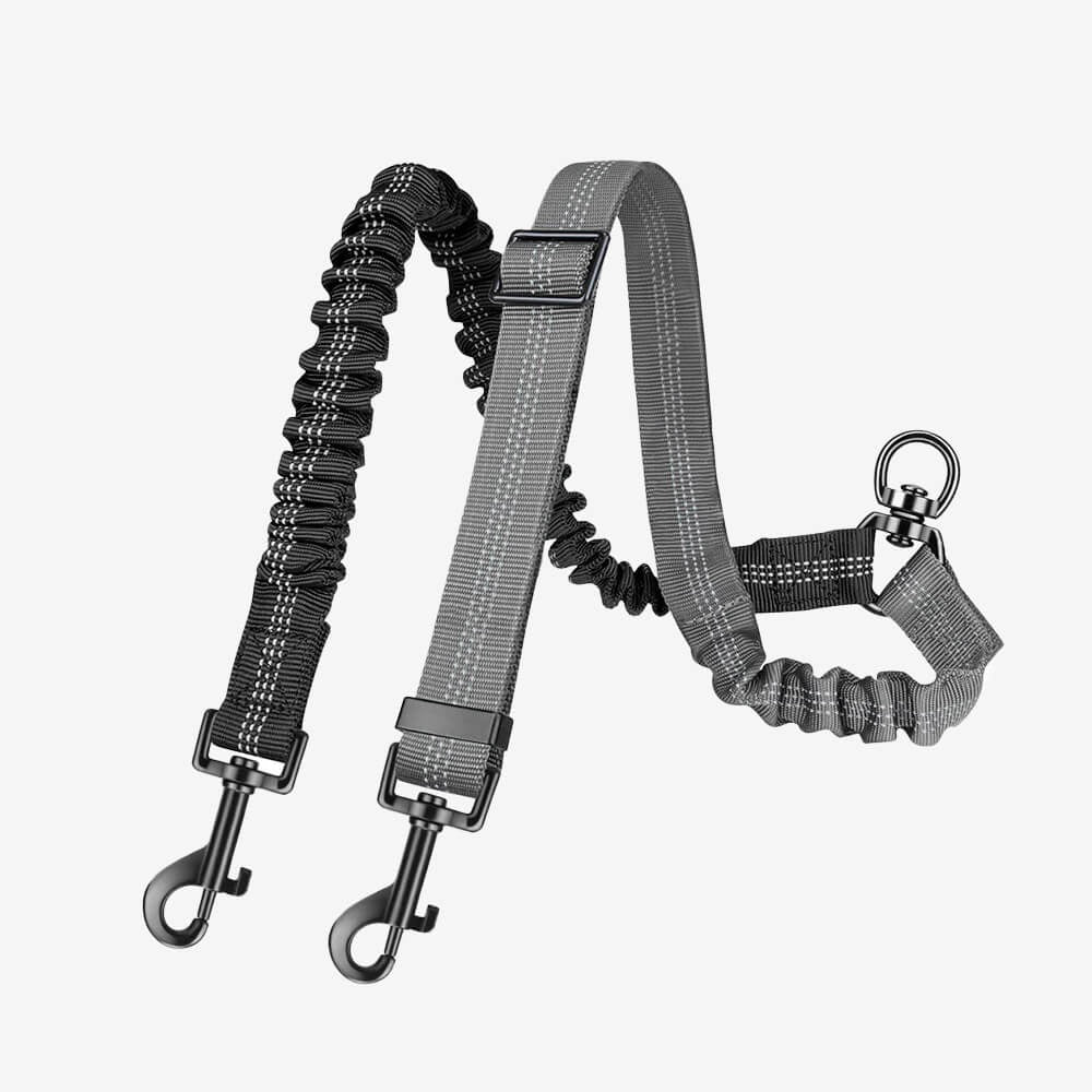 Comfortable Double Dog Leash with Bungee and Tangle Free Design