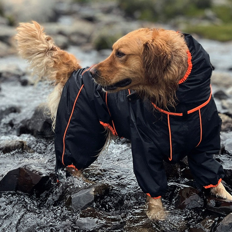 Breathable Water Resistant Dog Rain Jacket – Golden Retriever wearing the black rain suit with orange piping in a stream