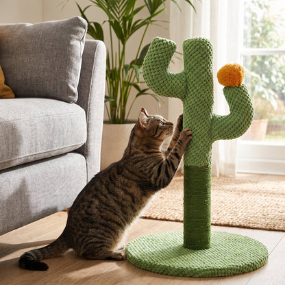 Tabby cat scratching the green cactus sisal scratching post in a living room