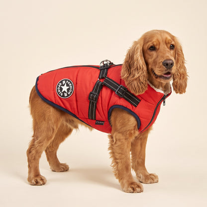 Rainproof pet coat with built-in harness in red, worn by a Cocker Spaniel on a cream background