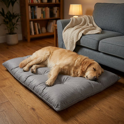 Soft Reversible Pet Calming Dog Bed Mat – Golden Retriever asleep on the grey mat in a living room