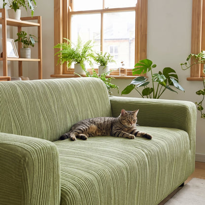 Stretch jacquard pet sofa cover in green on a two-seat sofa with a tabby cat stretching on the textured fabric