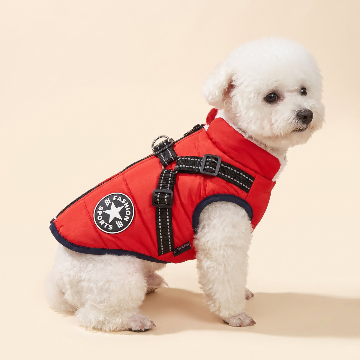 Winter dog jacket with built-in harness in red, worn by a small white dog on a cream background