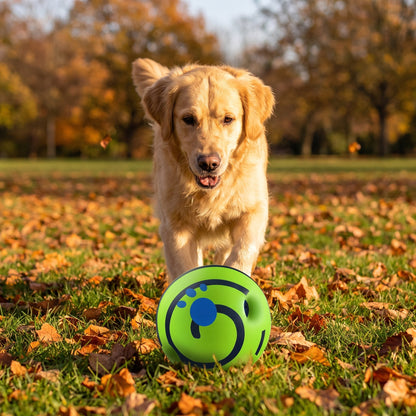 Golden Retriever chasing the green giggle ball dog toy in an autumn park
